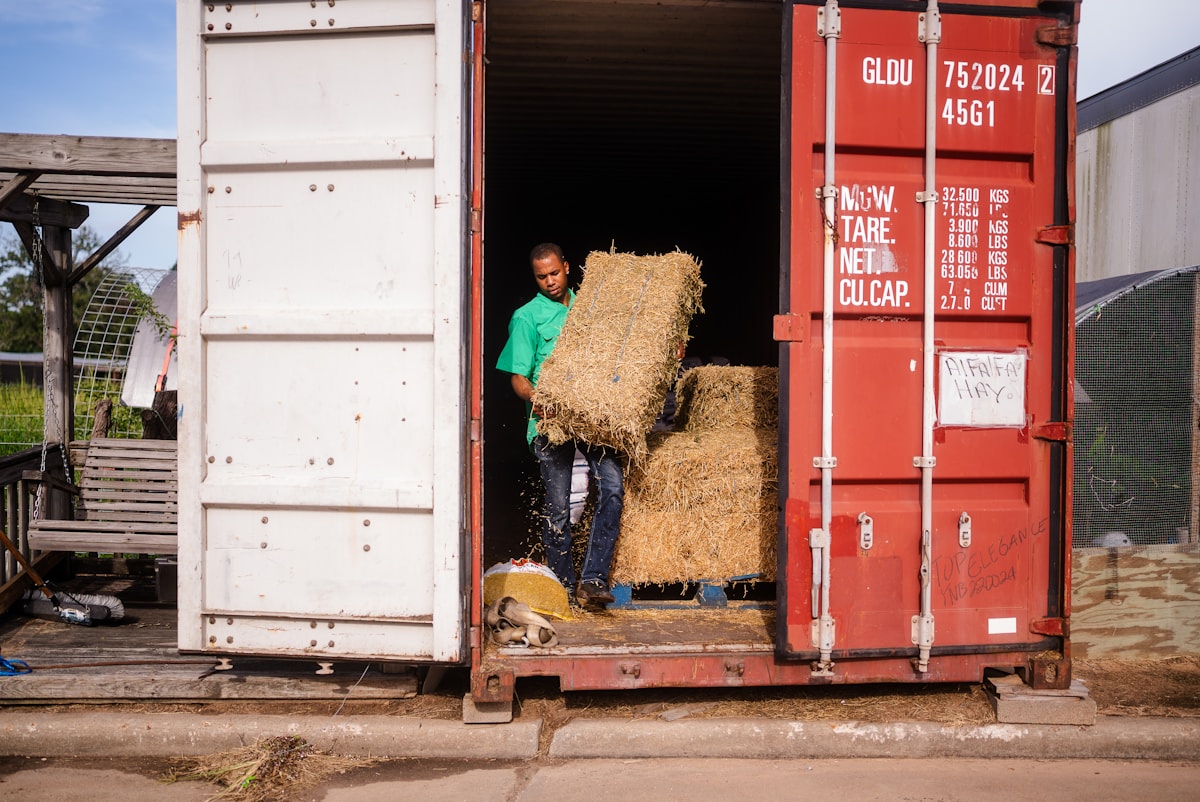 Export hay bales prepared for commercial shipment